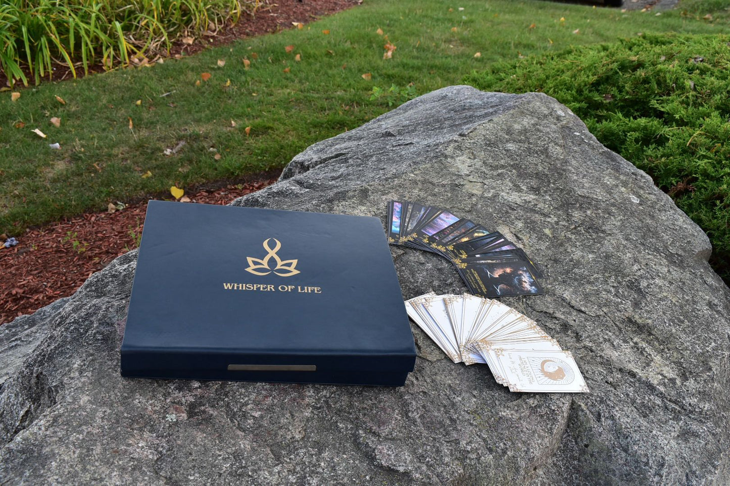 the whisper of life coffret